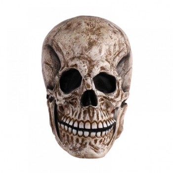 Skeleton Moveable Jaw Mask #2 HIRE